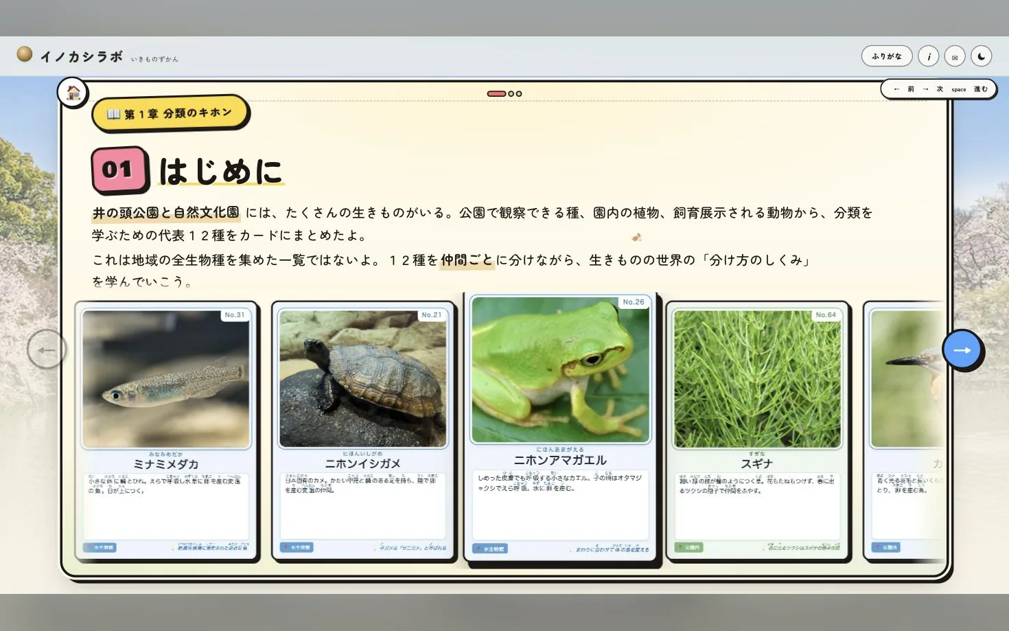第1章「分類のキホン」の学習スライド。生き物カードを見ながら読み進める